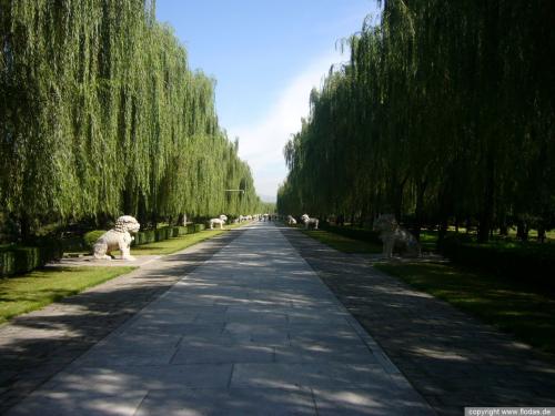 Ming-Grber und Schlucht