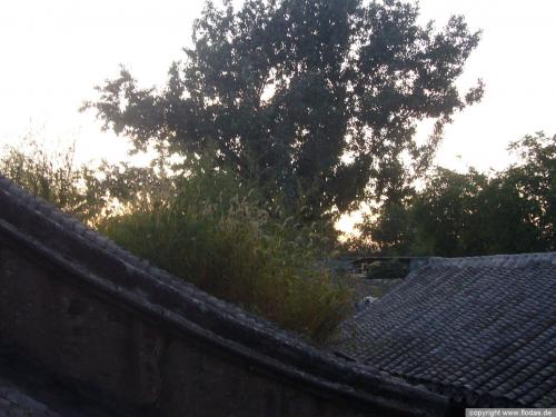 Verena in Peking